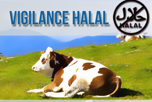 halal,viande,viande halal,vigilance,peretti